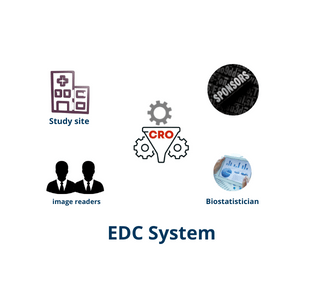 Get Detailed Information on Electronic Data Capture (EDC)